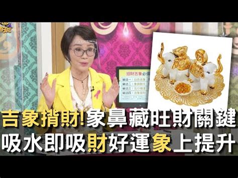 大象招財|揭秘招財大象：5個秘訣讓你的財運亨通